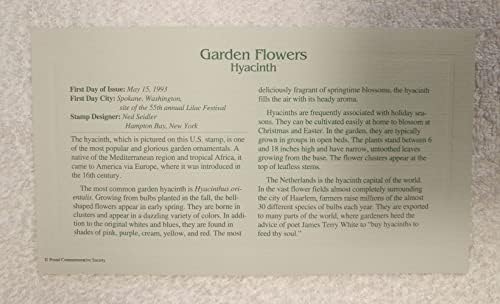 Градина цвеќиња - хиацинт - 22КТ златен реплика печат/покритие на првиот ден Плус Инфо картичка - Поштенски комеморативно општество -