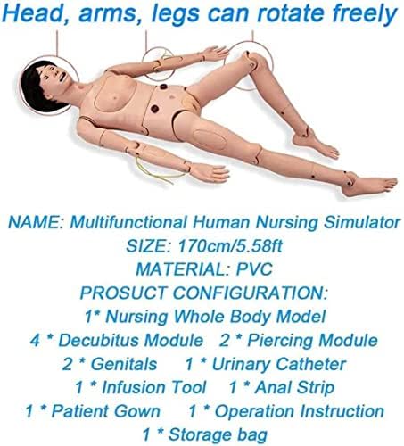Wfzy 5,5ft грижа за пациенти Човечки модел ПВЦ анатомски човечки модел женски медицински сестри Манекен отстранлив демонстрација човекот