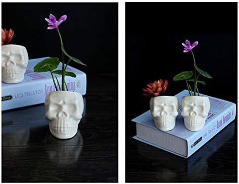 АМОСФУН канцелариски украси за жени керамички мали растителни садови засади череп во форма на сукулентен кактус цвет сад за садови за домашна канцеларија