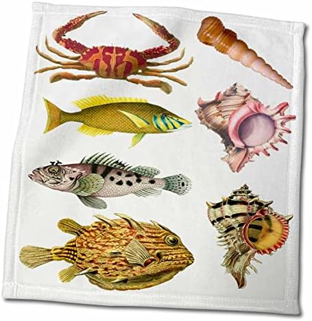 3дорозен морски живот - слика на колаж со риби и школка - крпи
