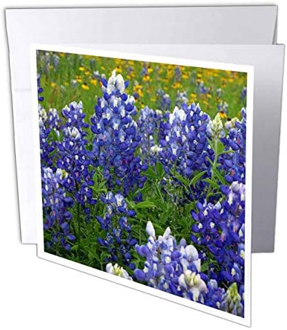 3drose Texas Hill Country Wildflowers. Bluebonnets - честитки