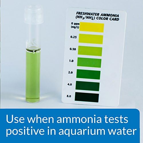 АПИ-муниција-заклучување слатководни и солена вода аквариум амонијак детоксикација од 16 унца шише и стрес зим раствор за чистење на