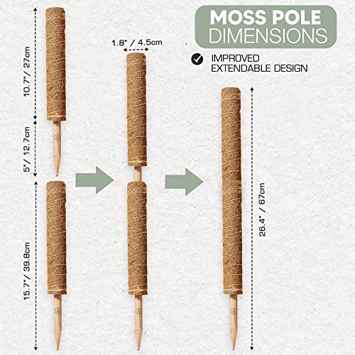 Tui and Co Moss Pole за растенија Monstera 26.4 ”Extendable - 2 парчиња растителни пол 16” со 15 врски за пресврт на хартија и 3 етикети