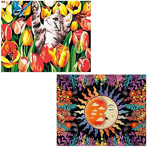 Tumovo боја по броеви за возрасни, бојата за возрасни за сонце по број за wallиден декор, цвеќиња боја по броеви за возрасни почетник, 16x20